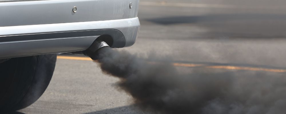 Projekt bez nazwy(76)